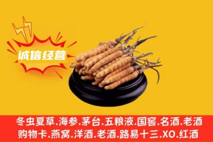 海南五指山回收冬虫夏草